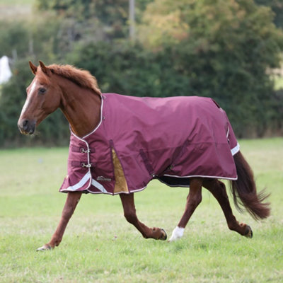 "Highlander Plus Standard-Neck 100G Horse Turnout Rug Maroon (6 3"")" - image 1