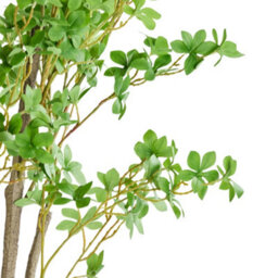 Living And Home Artificial Enkianthus Tree Potted Plant Home Decoration H180Cm - thumbnail 2