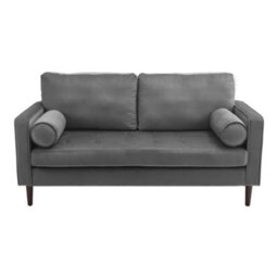 Thehotsale Grey Double Sofa 2-Seat Velvet Sofa With Bolster Pillows - thumbnail 3