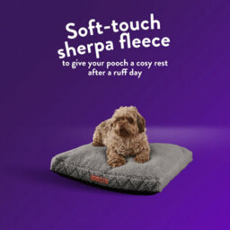 Slumberdown Paws For Slumber Sherpa Pet Bed Cover, Light Grey, Small - thumbnail 2