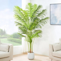 Artificial Palm Tree W/plastic Planter And Artificial Moss For House Office 160Cm