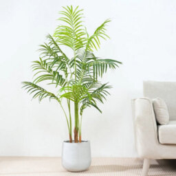 Artificial Palm Tree W/plastic Planter And Artificial Moss For House Office 160Cm - thumbnail 4