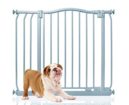 Bettacare Curved Top Dog Gate, 80Cm - 89Cm, Matt Grey, Pressure Fit Pet Gate For Dog And Puppy, Pet And Dog Barrier - thumbnail 1
