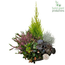 Autumn Plant Arrangement In Zinc Bowl - 30Cm - thumbnail 3