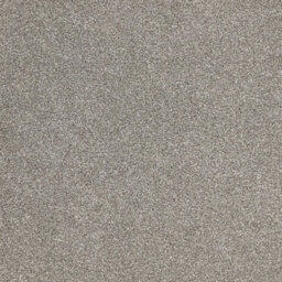 Furlong Flooring Satisfaction Moods Luxury Carpet (Inox, 5M X 4M) - thumbnail 1