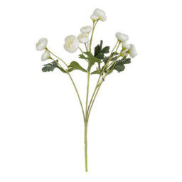 Candlelight White & Green Camellia 5 Mini Buds Single Stem Artificial Flower (H) 490mm - thumbnail 1