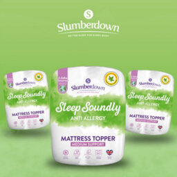 Hollowfibre 3Cm Anti Allergy Mattress Topper - thumbnail 9