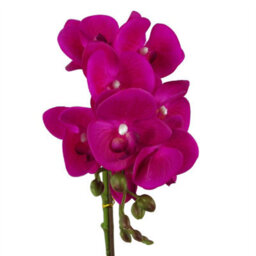 Leaf 50Cm Phalaenopsis Orchid Artificial - Silver Dark Pink - thumbnail 2