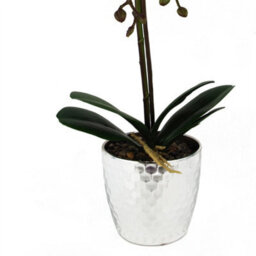 Leaf 50Cm Phalaenopsis Orchid Artificial - Silver Dark Pink - thumbnail 4