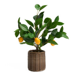 OHS Lemon Tree Artificial Plant Potted New Home Flat Decor Natural Look Leaves Pot - thumbnail 8