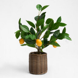 OHS Lemon Tree Artificial Plant Potted New Home Flat Decor Natural Look Leaves Pot - thumbnail 4