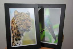 SuperGift.com Black A4 Photo Certificate Picture Frame Wall Hanging & Desk Mountable Plain Picture/photo/poster Frame 29.7 X 21Cm (4) - thumbnail 6