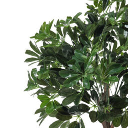 Thehotsale 122Cm Artificial Schefflera Arboricola Tree In Black Pot For Decoration Living Room - thumbnail 4