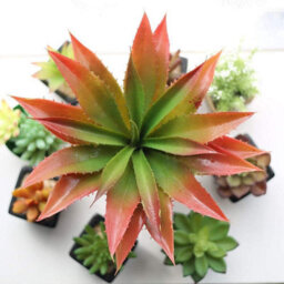 Artificial Aloe Vera Plant - 30.5 Cm Wide. For Indoor And Outdoor Decoration, Garden And Bathroom - thumbnail 1
