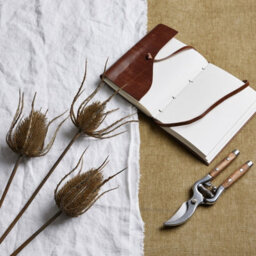 Large  Brown  Triple  Teasle  Stem - thumbnail 1