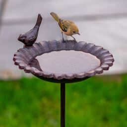 Woodside Cast Iron Decorative Garden Birth Bath Water Bowl/feeding Tray Dish - thumbnail 3