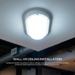 Led Bulkhead Ceiling Light 6400K Cool White 9W 12W Oval Slim Surface Mounted Wall Lamp 900Lm Porch Bathroom Indoor Kitchen - thumbnail 5