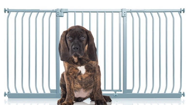 Bettacare Elite Pressure Dog Gate, 170Cm - 179Cm, Matt Grey, Pressure Fit Pet Gate For Dog And Puppy - image 1