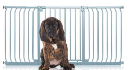 Bettacare Elite Pressure Dog Gate, 170Cm - 179Cm, Matt Grey, Pressure Fit Pet Gate For Dog And Puppy - thumbnail 1