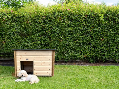 Edecks Barkingham Palace Dog House Kennel 2 X 3 Ft Pressure Treated Timber Garden Outdoor Shelter - Small - image 1