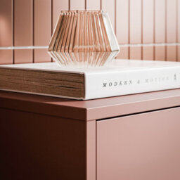 Furniture To Go Alice Springs Shoe Cabinet With 2 Doors Push-To-Open In Terracotta - thumbnail 8