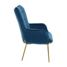 Orsina And Durable Blue Velvet Armchair With Gold Legs, High Back Patterned Armchair, Easy To Maintain Bucket Chair - thumbnail 3