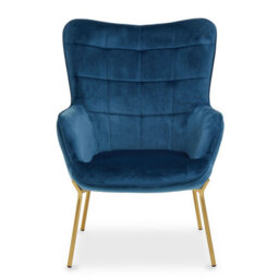 Orsina And Durable Blue Velvet Armchair With Gold Legs, High Back Patterned Armchair, Easy To Maintain Bucket Chair