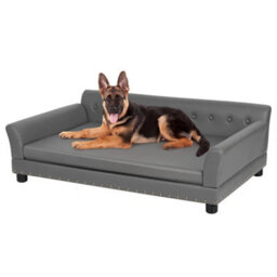 Bingopaw Xl Elevated Dog Sofa Bed Pet Luxury Couch Calming Bed For Orthopedic Dogs,120X74X40Cm - thumbnail 8