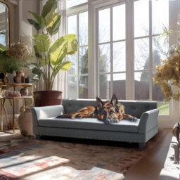 Bingopaw Xl Elevated Dog Sofa Bed Pet Luxury Couch Calming Bed For Orthopedic Dogs,120X74X40Cm - thumbnail 7