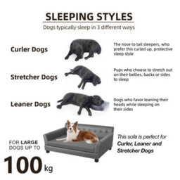 Bingopaw Xl Elevated Dog Sofa Bed Pet Luxury Couch Calming Bed For Orthopedic Dogs,120X74X40Cm - thumbnail 6