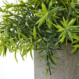 Wyld Haus Small Artificial Bamboo Plant In Grey Concrete-Effect Pot - thumbnail 3