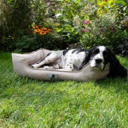 All Pond Solutions All Pet Solutions Dexter Waterproof Dog Bed Cream- Size Small - thumbnail 3