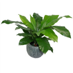 Leaf 60Cm Bushy Large Artificial Bird's Nest Fern Plant - thumbnail 2