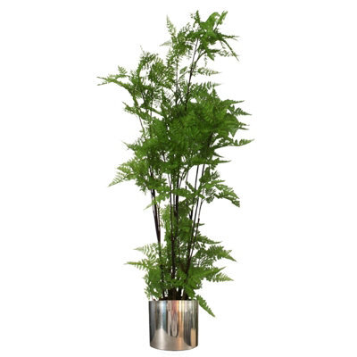 Leaf 150Cm Artificial Natural Moss Base Fern Foliage Plant With Silver Metal Plater - image 1