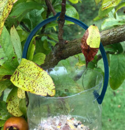 Selections Bottle Top Bird Seed Feeders (Set Of 3) - thumbnail 6