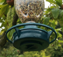Selections Bottle Top Bird Seed Feeders (Set Of 3) - thumbnail 4