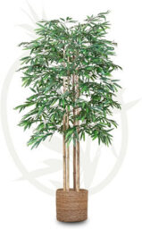 Artificial Plant Bamboo Tree, Maia Shop For Home And Office Decoration, 150Cm - thumbnail 2