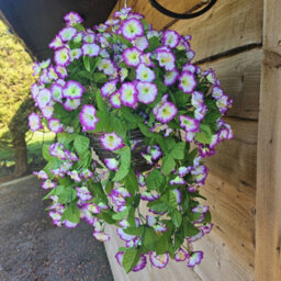 Best Artificial 75Cm Lilac & White Morning Glory Trailing Flowers With Rattan Wicker Hanging Baskets For Indoor Or Garden Use