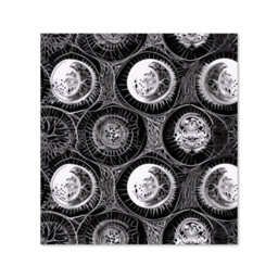 Warren Reed Designer Black White Moon And Sun Premium Glass Kitchen Splashback W700mm X H650mm - thumbnail 2