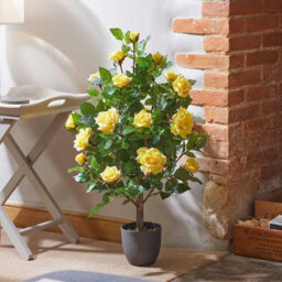 Smart Garden 80Cm Artificial Rose Tree In Potted Plant - Yellow Roses - thumbnail 4