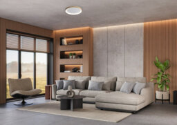 Luminosa Lighting Luminosa Raden 48Cm Led Semi Flush Ceiling Light Gold 3000/4000/6000K - thumbnail 2