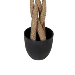 Beliani 120Cm Artificial Pachira Tree With Braided Trunk In Black Pot - Indoor Decorative Floor Plant - thumbnail 5
