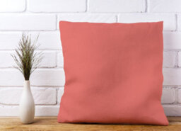 Warren Reed Designer Coral Pink Cushions 45Cm X 45Cm - thumbnail 2