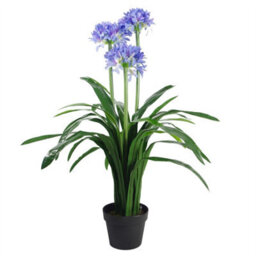Leaf 90Cm Premium Artificial Agapanthus With Pot Blue