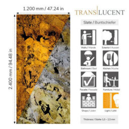 Translucent Falling Leaves Slate Veneer 30 X 20Cm Sample - thumbnail 3