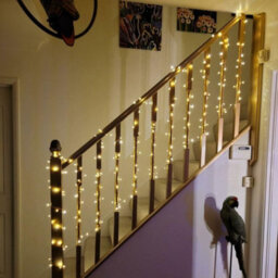 80 Led Copper Wire Fairy Lights 3M Battery Powered Indoor And Outdoor Use - thumbnail 7