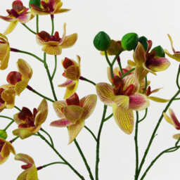 Leaf 43Cm Large Pink Yellow Artificial Orchid In Ceramic Planter - thumbnail 2