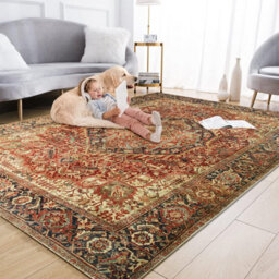 Ameha Extra Large Majestic Cashmere Area Rugs Indoor Outdoor Luxury Modern Rug Living Room Bedroom Carpet- 240X320 Cm - thumbnail 5