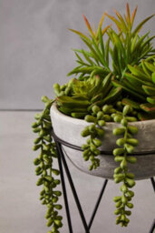 Premier Housewares Fiori Mixed Succulent With Metal Stand Artificial Plant Foliage - thumbnail 6
