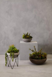 Premier Housewares Fiori Mixed Succulent With Metal Stand Artificial Plant Foliage - thumbnail 5